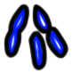 Image of the occurrence